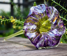 Load image into Gallery viewer, Glass Blowing Classes